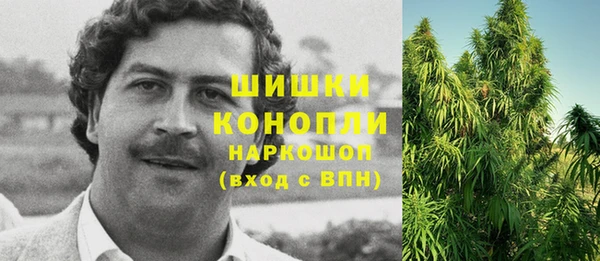 spice Алексин