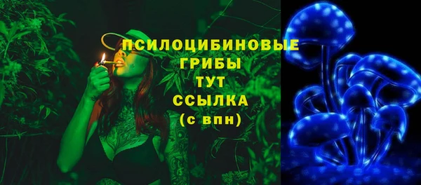 мяу мяу мука Алзамай
